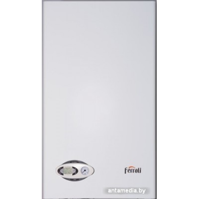 Отопительный котел Ferroli Divabel F24