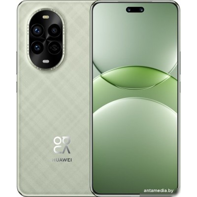 Смартфон Huawei nova 13 Pro MIS-LX9 12GB/256GB (дымчатый зеленый)