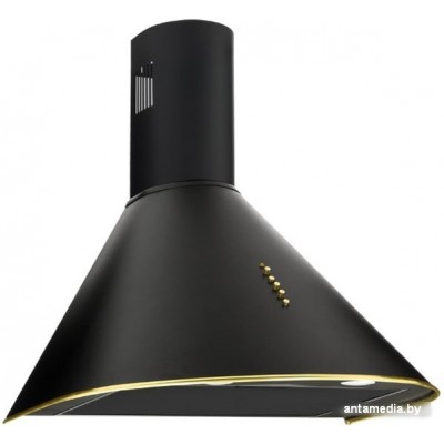 Кухонная вытяжка Akpo Dandys 60 WK-4 (черный/золотистый) Кухонная вытяжка Akpo Dandys 60 WK-4 (черный/золотистый)