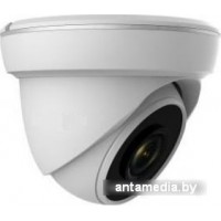 IP-камера Arsenal AR-IP202/40 Starlight