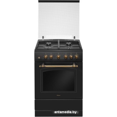 Кухонная плита Hansa FCGA62109
