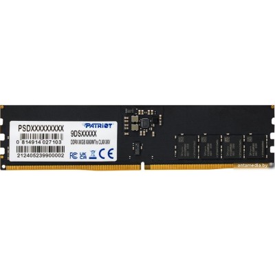 Оперативная память Patriot Signature Line 16ГБ DDR5 6400 МГц PSD516G64081C