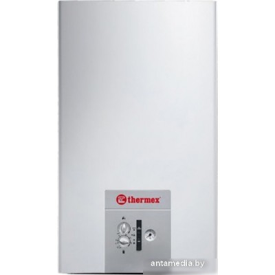 Отопительный котел Thermex EuroStyle F24