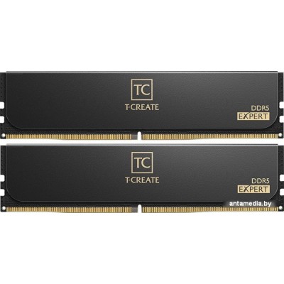 Оперативная память Team T-Create Expert 2x32ГБ DDR5 6400 МГц CTCED564G6400HC34BDC01 Оперативная память Team T-Create Expert 2x32ГБ DDR5 6400 МГц CTCED564G6400HC34BDC01
