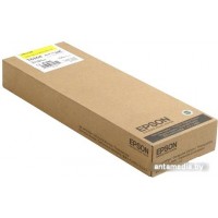 Картридж Epson C13T636400