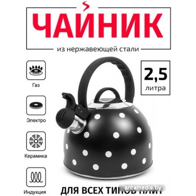 Чайник со свистком TimA WTK135BLK