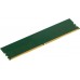 Оперативная память Digma 16ГБ DDR5 6000 МГц DGMAD56000016S