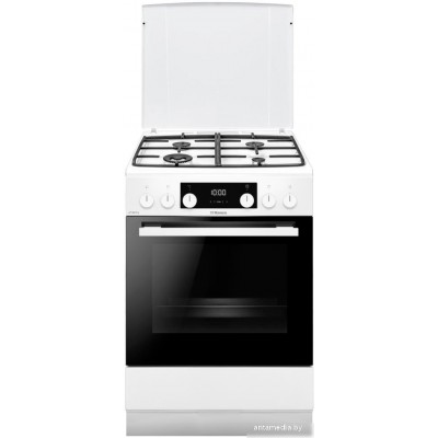 Кухонная плита Hansa FCMW69329