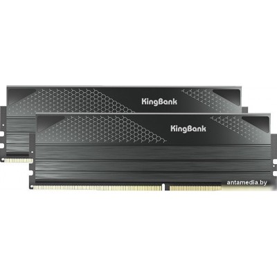 Оперативная память KingBank Heatsink 2x48ГБ DDR4 6400 МГц K5.01.FPM5FF9501