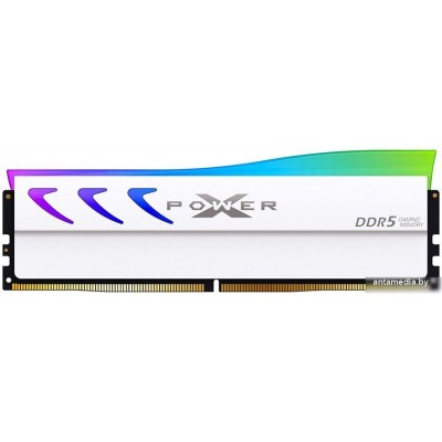 Оперативная память Silicon-Power Xpower Storm 16ГБ DDR5 6000 МГц SP016GXLWU60AFSL