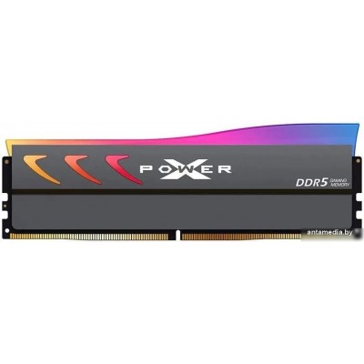Оперативная память Silicon-Power Xpower Storm 16ГБ DDR5 6400 МГц SP016GXLWU64AFSK