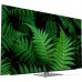 OLED телевизор Витязь 55LU1250