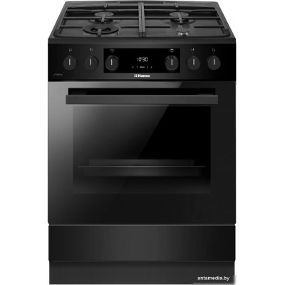 Кухонная плита Hansa FCMM693291