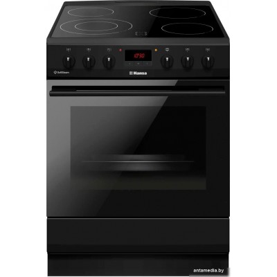 Кухонная плита Hansa FCCM58209H