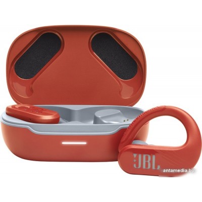 Наушники JBL Endurance Peak 3 (коралловый)