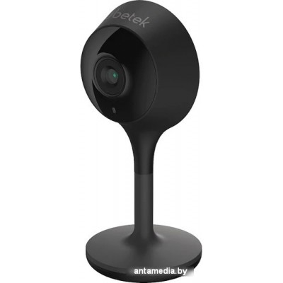 IP-камера Rubetek RV-3419 (черный)