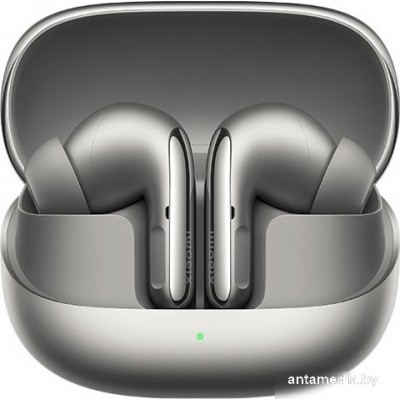 Наушники Xiaomi Buds 5 Pro M2437E1 (титановый, международная версия)