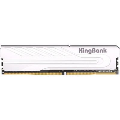 Оперативная память KingBank KJXS 16ГБ DDR4 3200 МГц K5.01.FP049D7201