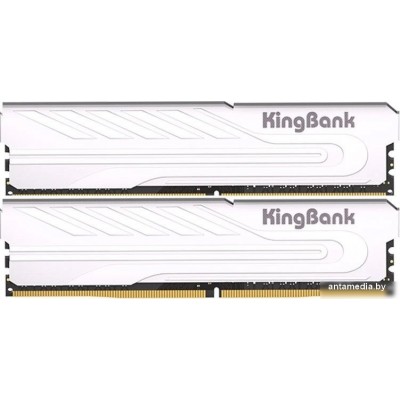 Оперативная память KingBank KJXS 2x8ГБ DDR4 3200 МГц K5.01.FP049C9201