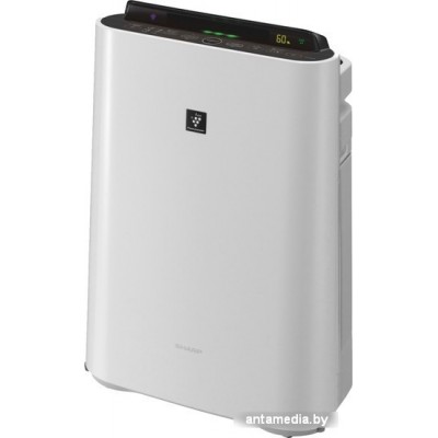 Очиститель и увлажнитель воздуха Sharp KC-D41RW