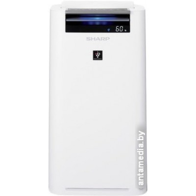 Очиститель и увлажнитель воздуха Sharp KC-G51RW