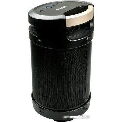 Колонка для вечеринок Dialog AP-1030 Колонка для вечеринок Dialog AP-1030