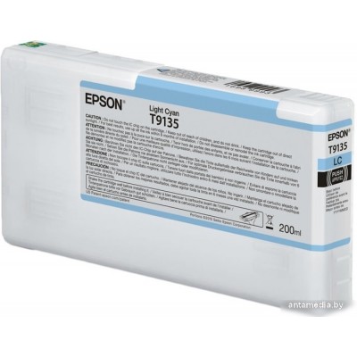 Картридж Epson C13T913500