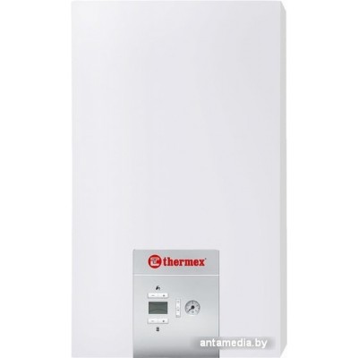 Отопительный котел Thermex EuroElite F24