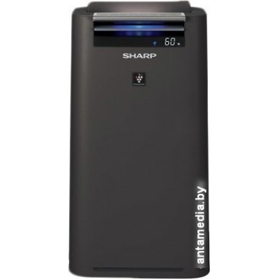 Очиститель и увлажнитель воздуха Sharp KC-G41RH