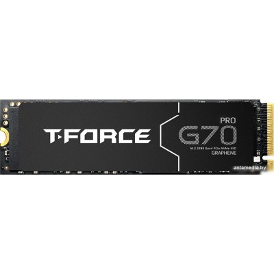 SSD Team T-Force G70 Pro 2TB TM8FFH002T0C129