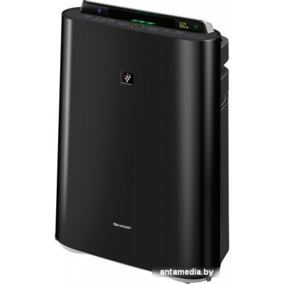 Очиститель и увлажнитель воздуха Sharp KC-D41RB