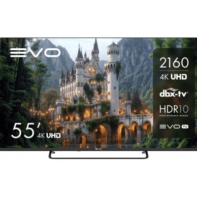 Телевизор Evo TV 55 Black TD0051754RU