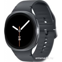 Умные часы Samsung Galaxy Watch8 44 мм LTE (графит)