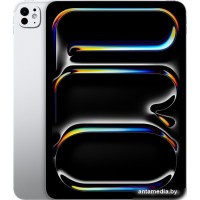 Планшет Apple iPad Pro 11" 2024 5G 256GB (серебристый)