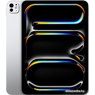 Планшет Apple iPad Pro 11" 2024 5G 256GB (серебристый)