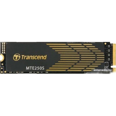 SSD Transcend 250S 1TB TS1TMTE250S SSD Transcend 250S 1TB TS1TMTE250S