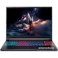 Игровой ноутбук Acer Nitro V 16S AI ANV16S-41-R0ZT NH.U03CD.001