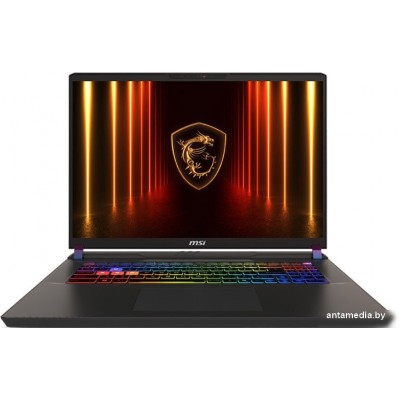 Игровой ноутбук MSI Vector 17 HX AI A2XWJG-099XRU