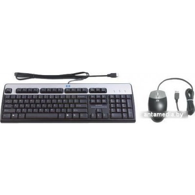 Мышь + клавиатура HP USB Keyboard and Optical Mouse Kit Russian (638214-B21)