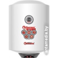 Накопительный электрический водонагреватель Thermex Praktik 30 V Slim