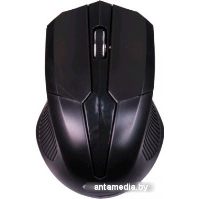 Мышь Ritmix RMW-560 (черный)